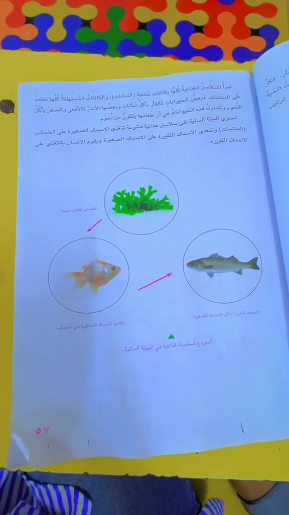 هذا من فضل ربي 💞
جانب من دروس الاطفال التقويه يوم الإثنين ٦/٨
للدوام الصباحي والمسائي
العنوان الحسينيه قرب الجسر فرع أسواق خنجر رقم ***********
