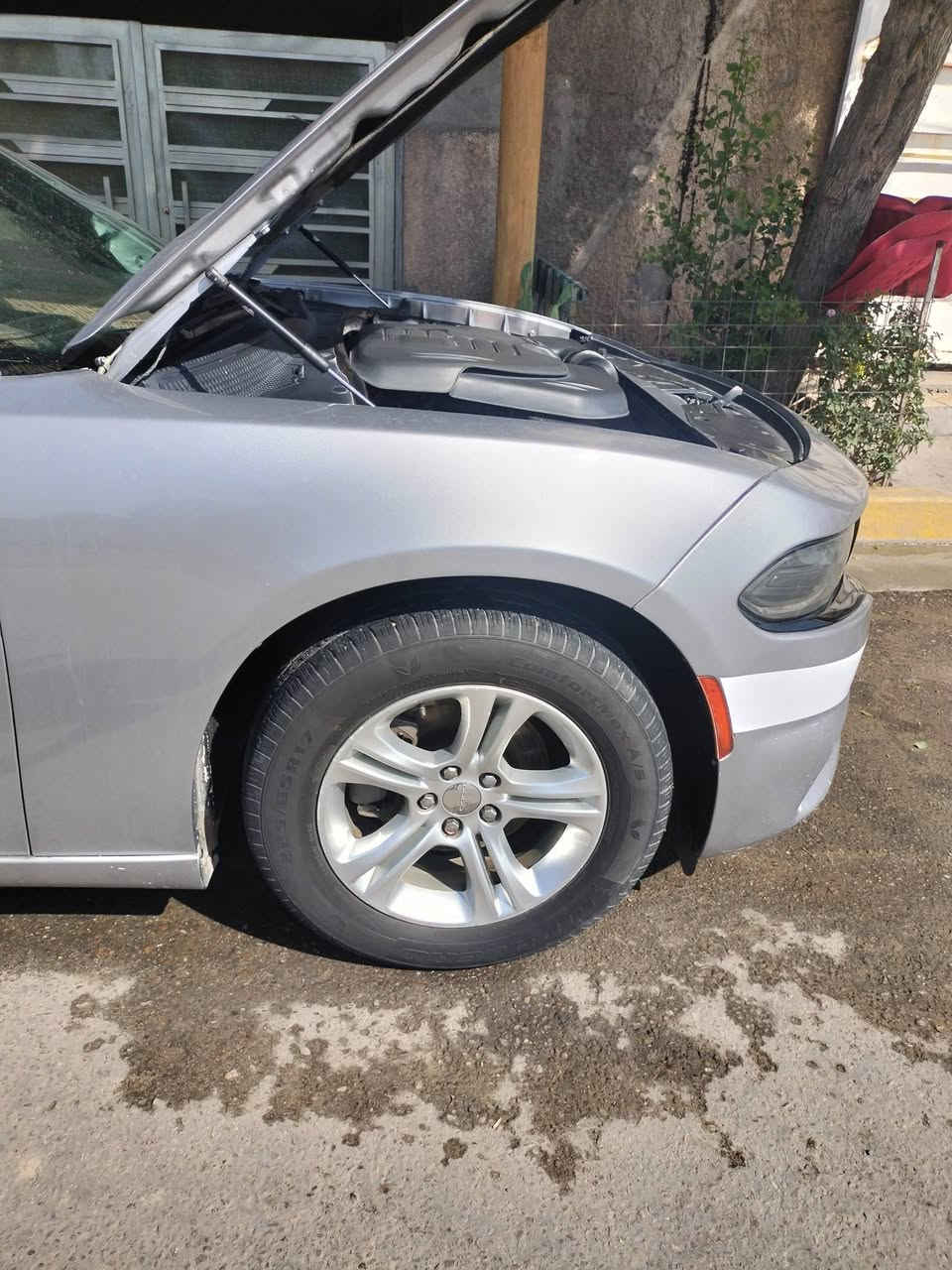 سلام وعليكم شباب جارجر رصاصي 
موديل 2015
رقم بغداد بسمي 
مكينه 3600
وارد كندي 
تو ويل 
تحويل مباشر 
حادث جاماغ ونص بنيد بيهه باب صبغ عكس سايق يعني 3قطع بدون دواخل 
سياره جاهزه كل نقص مابيهه 
مكاني بغداد 
داخل ابيض جلد 
تواصل ***********
سعر 170/قابل لتفاوض 
اخوان لدكلي لكيت 150/لو 160 /روحه اخذهه تحياتي لجميع سوك كلشي بي 
اصل 15/لا مرمزه ولا معلايا
