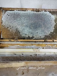 عسل • بالاطار