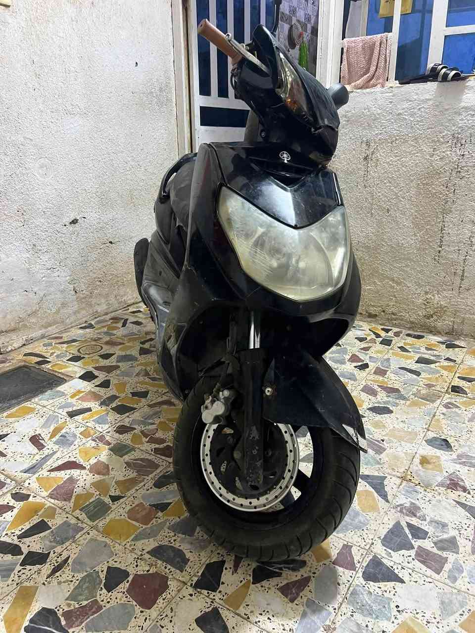 سكنس فحل للبيع سعر 700 وبيها مجال 
المكان ميسان مغربه ‭***********‬
