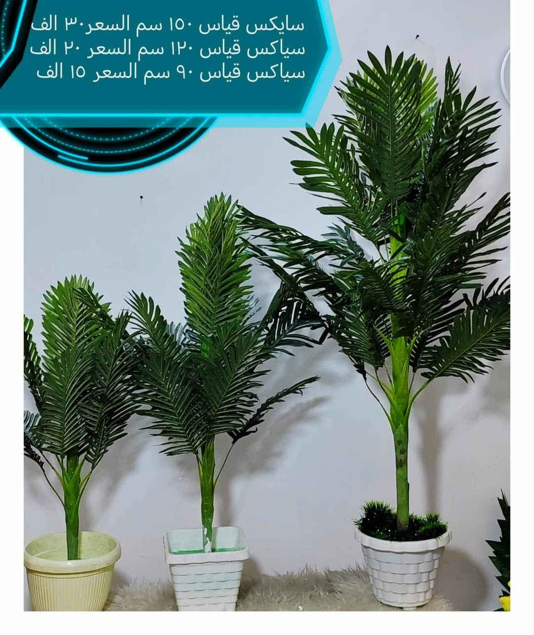 بسم الله توكلنا على الله
دلع بيتك بس ويانه وبشرط
 احلى من الصورة
توجد خدمة توصيل لجميع المحافظات


**إذا كنت صاحب هذا الإعلان وتريد حذفه لأي سبب، رجاءا أرسل رسالة إلى الدعم الفني**