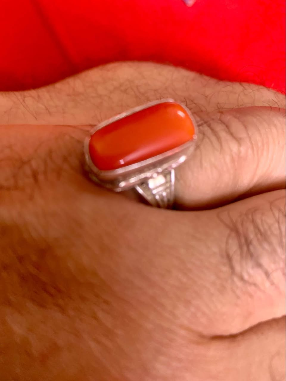 خاتم مرجان روعة صياغة يدوية بغداد, العراق


**إذا كنت صاحب هذا الإعلان وتريد حذفه لأي سبب، رجاءا أرسل رسالة إلى الدعم الفني**