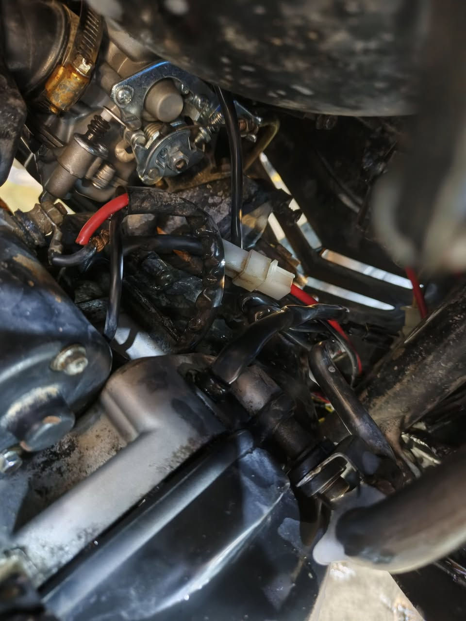 السلام عليكم دراجه ماكس عدله للبيع صدر أمامي خلفي رياضي
كلجات رياضي كفر اربع والفات بيه مكينه خرسه توكف بصفه متسمعه بيه شلعه معدل تاكل الكاع أكل كله شغال بيه نقص بس استاند ولايت مكان بغداد الجديده اتصل وبيكم خير ودلون
رقم ***********تحياتي
