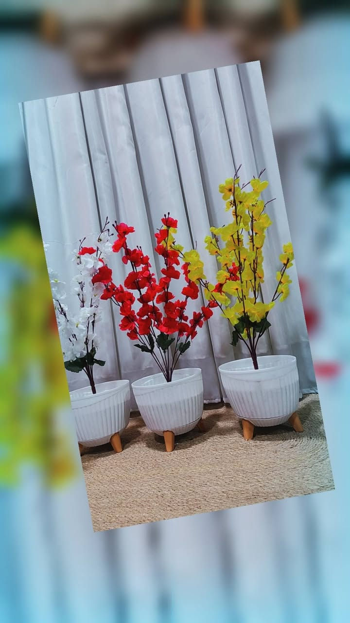 السلام عليكم 
عرض خاص سيت 3 اشجار ورد إرتفاع 65 سم 
سيت 3 اشجار  ب 25 الف فقط سارع بالحجز


**إذا كنت صاحب هذا الإعلان وتريد حذفه لأي سبب، رجاءا أرسل رسالة إلى الدعم الفني**