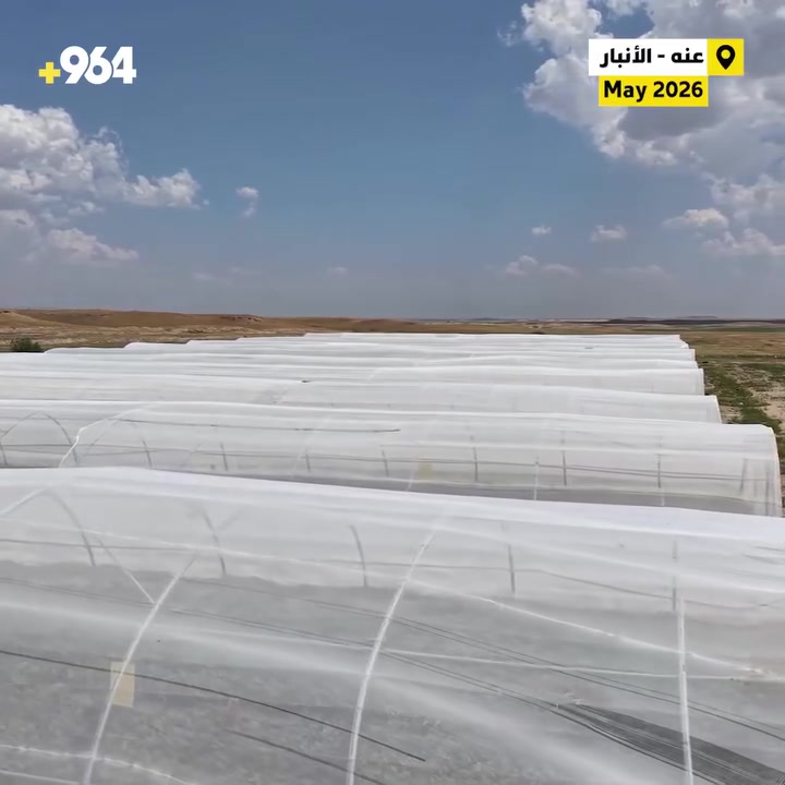 العراق يقترب.. الأنبار تنجح في “تقسية وأقلمة” البطاطا والهدف الاكتفاء الذاتي
عبد الرحمن الراوي شرح تجربة عنة


**إذا كنت صاحب هذا الإعلان وتريد حذفه لأي سبب، رجاءا أرسل رسالة إلى الدعم الفني**