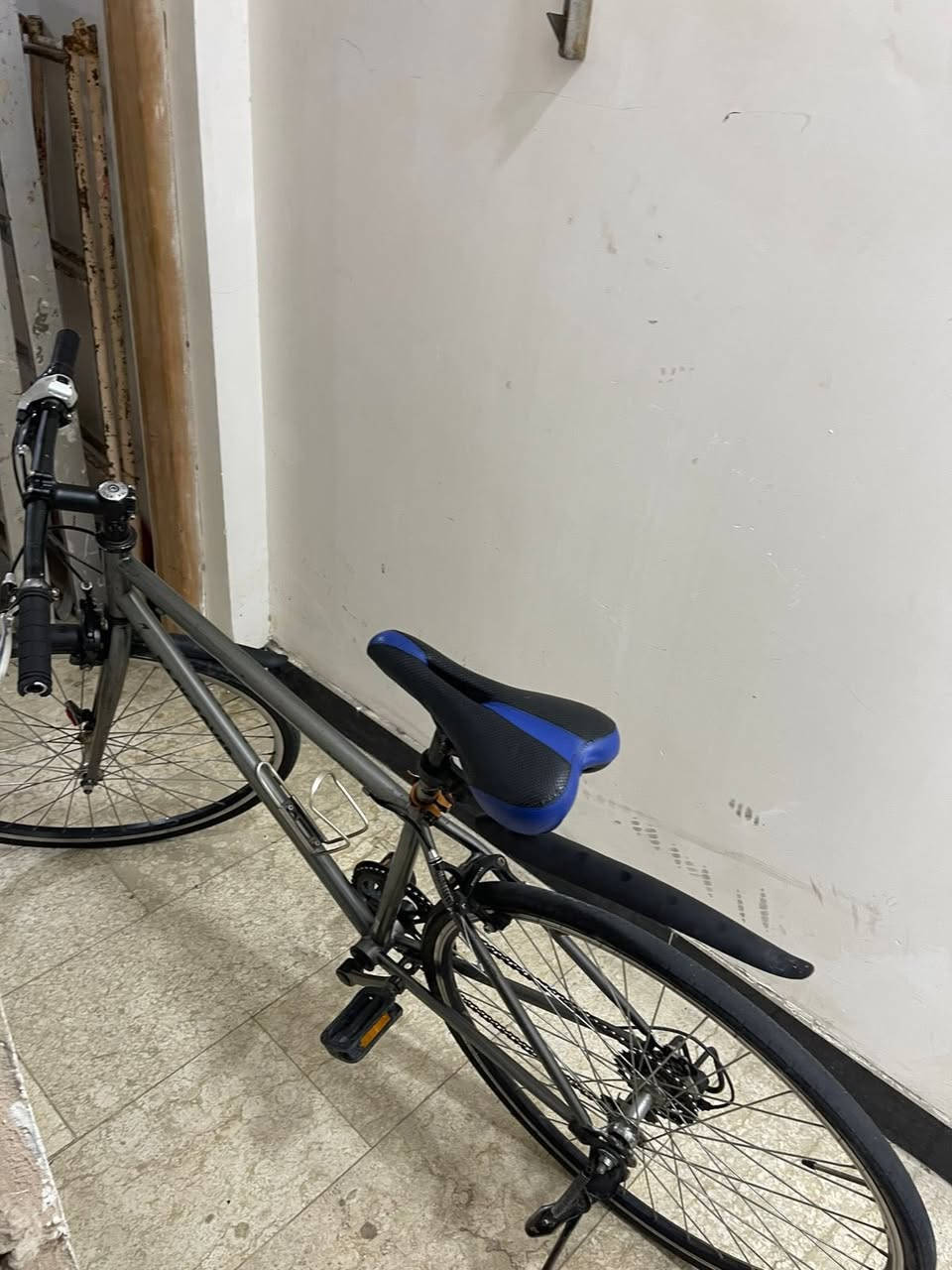 السلام عليكم
شباب باسكلين كلش حلوات ياباني اصلي اي نقص مابيهن بريكات عكرب كله نضيف واحد ابيضّ والثاني زيتوني شذره لون كلش حلو 
اي نقص مابيهن سعر الواحد ب 90 ألف 
مكاني بغداد حي جامعه ***********
