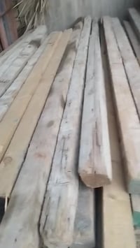 سيور • ٣م/٢م/١٫٥م • الخضر ابو الخصيب