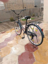 ياباني • مكفول • ٢٠٢١