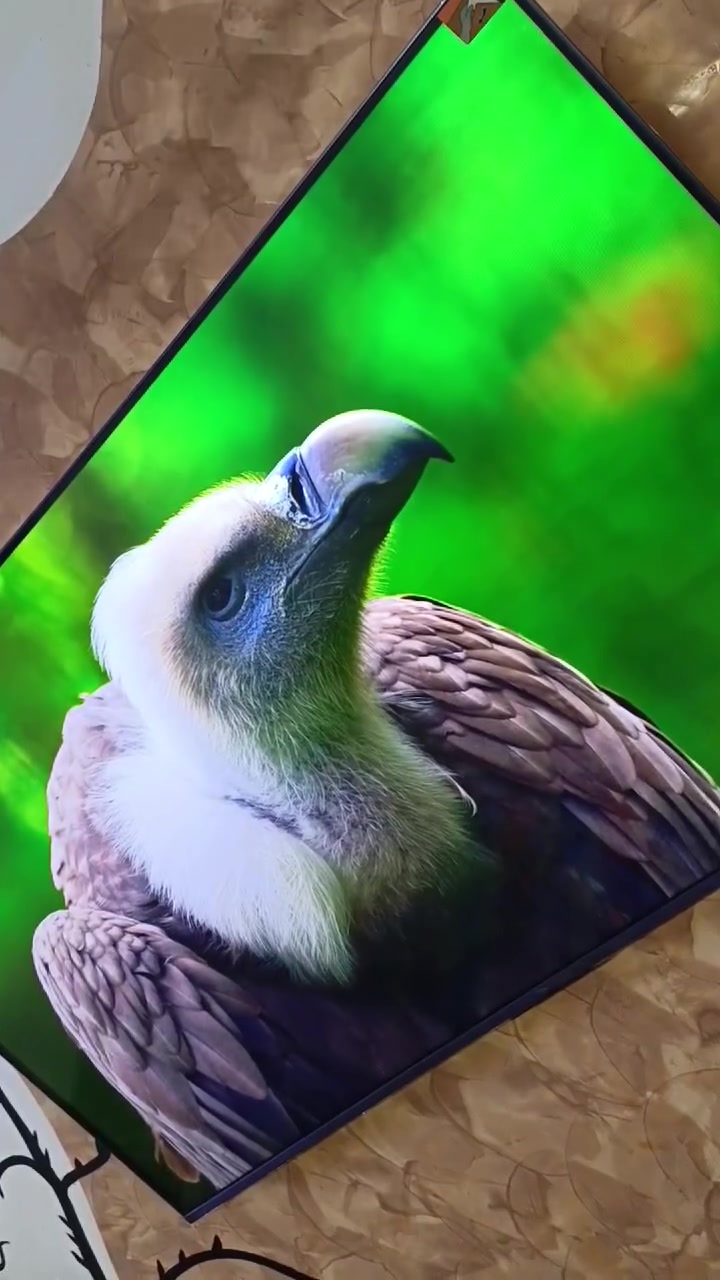 TCL C6K. 144Hz 4k 2160


**إذا كنت صاحب هذا الإعلان وتريد حذفه لأي سبب، رجاءا أرسل رسالة إلى الدعم الفني**