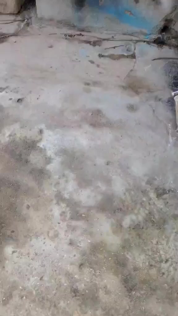 سلام عليكم ماكس منغولي دراجه عوزه كابريتر وبوشه دراجه نضيفه سعر250 مكاني كربلاء حي


**إذا كنت صاحب هذا الإعلان وتريد حذفه لأي سبب، رجاءا أرسل رسالة إلى الدعم الفني**