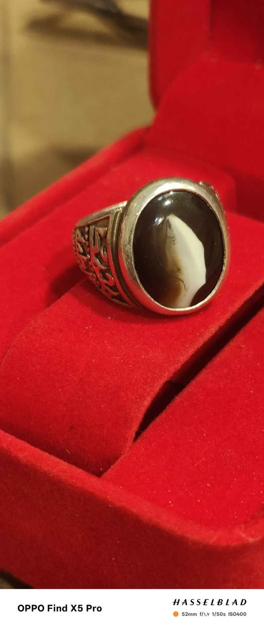 بغداد بغداد, العراق


**إذا كنت صاحب هذا الإعلان وتريد حذفه لأي سبب، رجاءا أرسل رسالة إلى الدعم الفني**