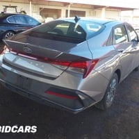 النترا ٢٠٢٤ • منفذ سفوان • صبغ قطعة بنيد