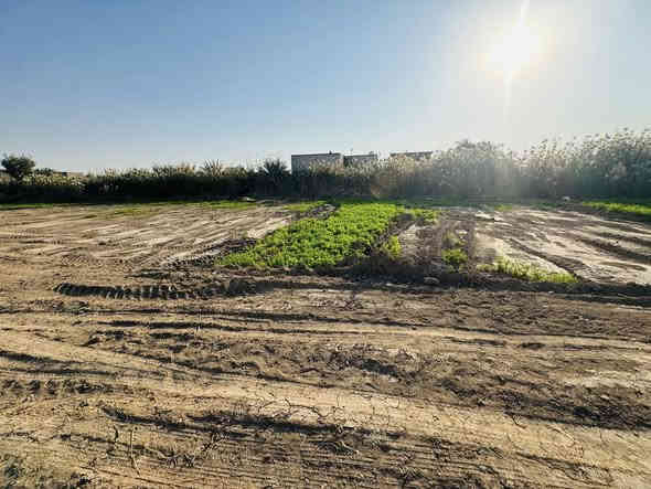 ارض طابو زراعي سند 25 تحويل مباشر 
مساحة الارض دونم كامله مخدومة من ماء وكهرباء
تنجح مزرعة او قطع سكنيه  او واحد يبنه بيه بيته ويخلص ويدور راحت باله 
الموقع بابل بين الحصوه والمشروع خلف مطعم كباب قحطان الكدساوي بمنطقه الشاخه 
تبعد عن الشارع العام الي هو شارع حله بغداد كيلو او اقل 

مكتب مهدي 
***********
