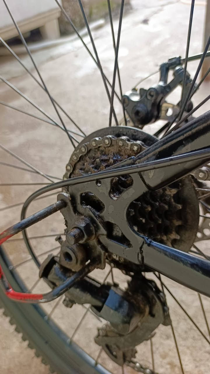 للبيع كلو شغال حجم 26.
السعر (90)قفل


**إذا كنت صاحب هذا الإعلان وتريد حذفه لأي سبب، رجاءا أرسل رسالة إلى الدعم الفني**