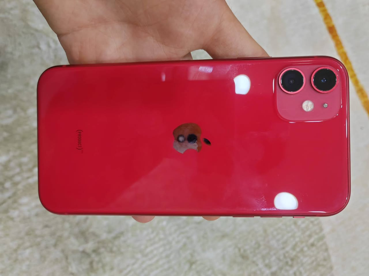 السلام عليكم ايفون ١١ عادي لون احمر
جهاز كلش نضيف   بلادي  الجهاز مداخل صيانه    
ذاكرة ١٢٨   بطاريه ٩٤     تحديث الجهاز القديم 18 احسن تحديث   
مكاني بغداد شعب  للستفسار
***********
