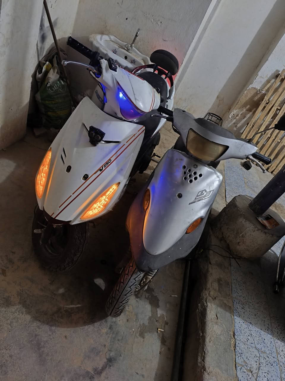 للبيع الذبانة مكفولة مامفتوحه ابد عوزها ترتيب جانت متروكه دراجة رمبة بس مهموله ابد مامفتوحه شغاله سلف هندر كهربايات كلهن شغاله والثانية ادرس ماليزي عوزها لاستيك ولف شغاله كله كهربايات سلف هندر سعرهن 500 مكاني واسط الحي ***********
