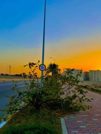 شقة • مجمع بسمايه • ١٢٠م