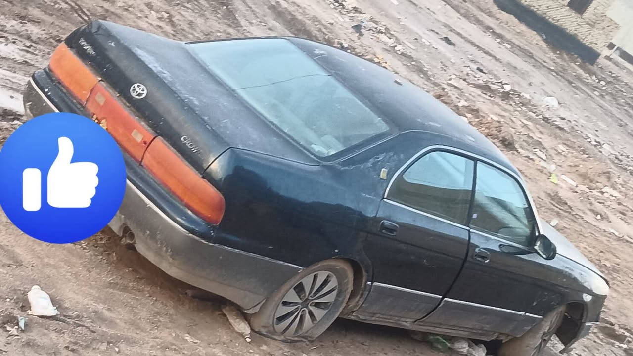 السلام عليكم ورحمه الله وبركاته
بطه كروان متصل مكفوله من كص ونقل وكلبه 
سياره مكينه كاضه ابيع بدون مكينه وكير رقمه بغداد وسنويه ما ساقطه مكانه ديوانيه سعره ١٥ ورقه وبيه مجال الي يجي لازم يجيب كرين ويسحبه ***********
هذا رقمي متواجد واتساب
