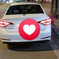 سوناتا ٢٠١٧ • وارد امريكي • ابو الخصيب