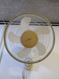 بانكه جداريه • نوال • اصلي