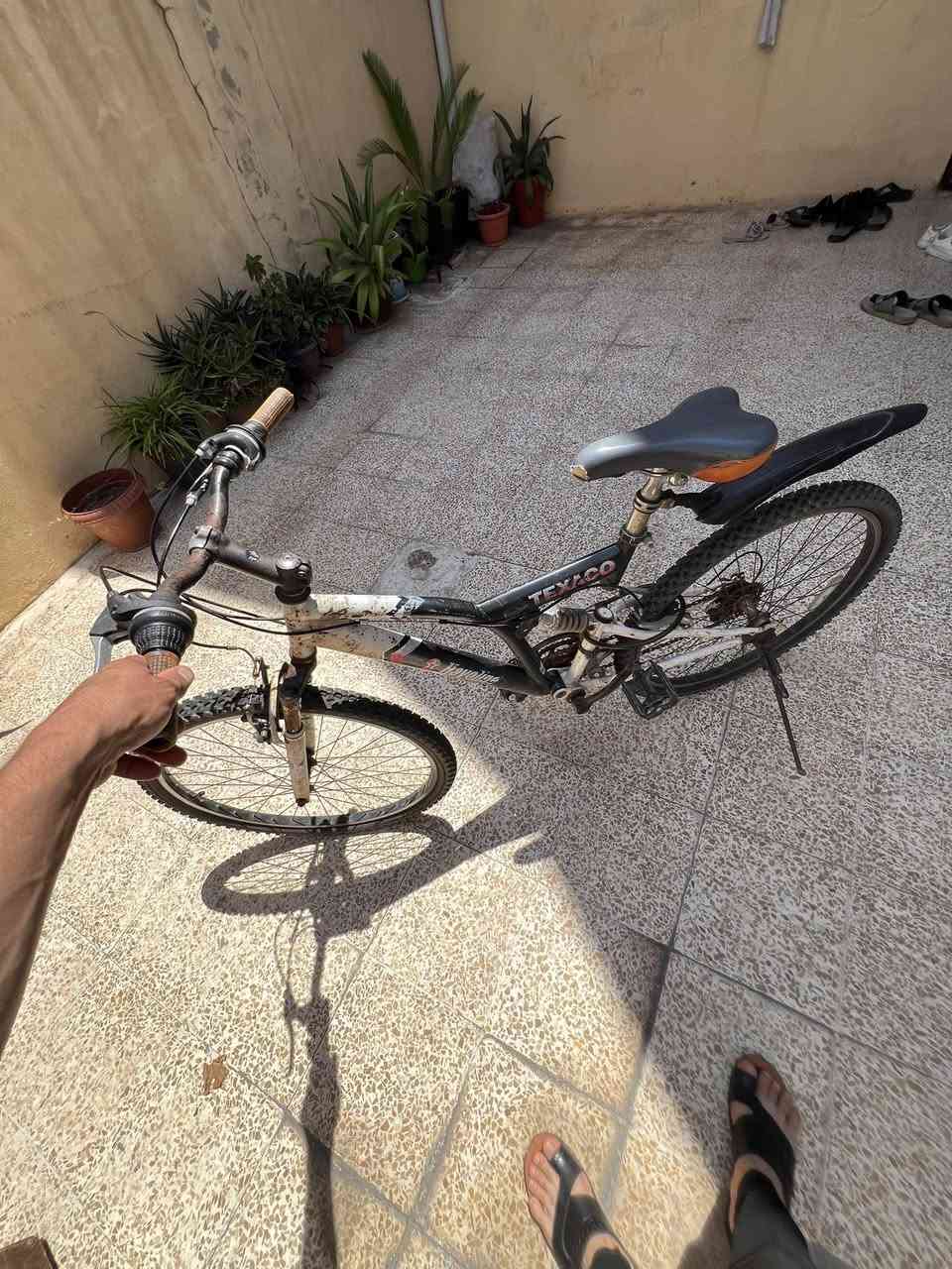 البيع بازكل حجم 26 ابو دبلات تايرات جديد وكير وجاهز سعر 90 مكان حي التحرير لأيسر


**إذا كنت صاحب هذا الإعلان وتريد حذفه لأي سبب، رجاءا أرسل رسالة إلى الدعم الفني**