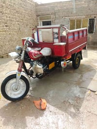 ستوته • بدون أوراق • شاصي مكفول