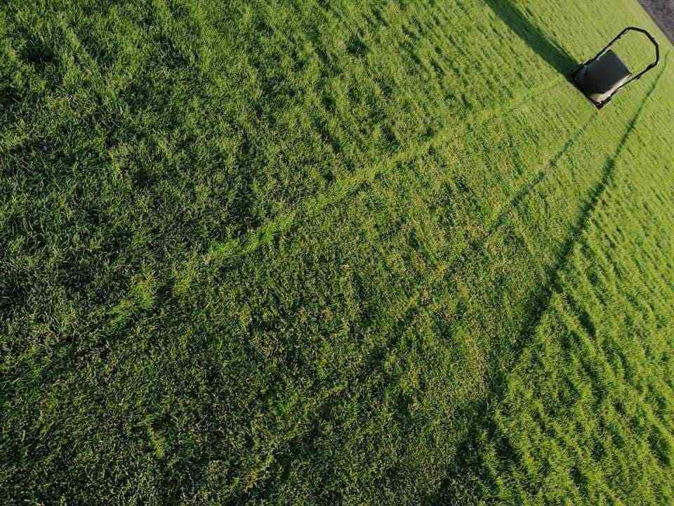 🍀متوفر كافة انواع الثيل🍀 
الثيل امريكي والهندي والايطالي والفرنسي
كادر متخصص :
لتجهيز... مشاتل🌴
والدوائر حكوميه🏦
منازل🏡 منتزهات🏄
موجود خدمة توصيل 🚕🚕
لكل محافظات العراق 
للطلب التواصل مع الصفحة او الاتصال على :؀واتساب   

***********
***********
