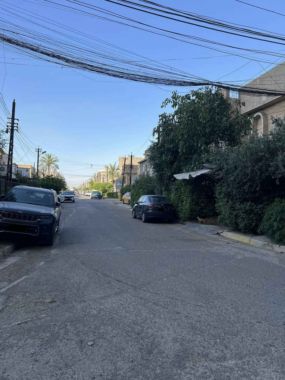 بيت ركن موقع مميز على شارعين عريضة للبيع ملك طابو سكني سند مستقل حي تونس افاق عربية.

المساحة ٢١٤ واجهة كبيرة ٢٠ متر النزال ١٠ ونص البيت مكون من طابقين وطابق ثالث تحت الارض مع كراج وحديقة. 

 التواصل على الرقم ***********
