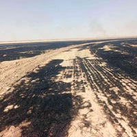 مكان رمادي • ١٠٠ دونم • بيها بير