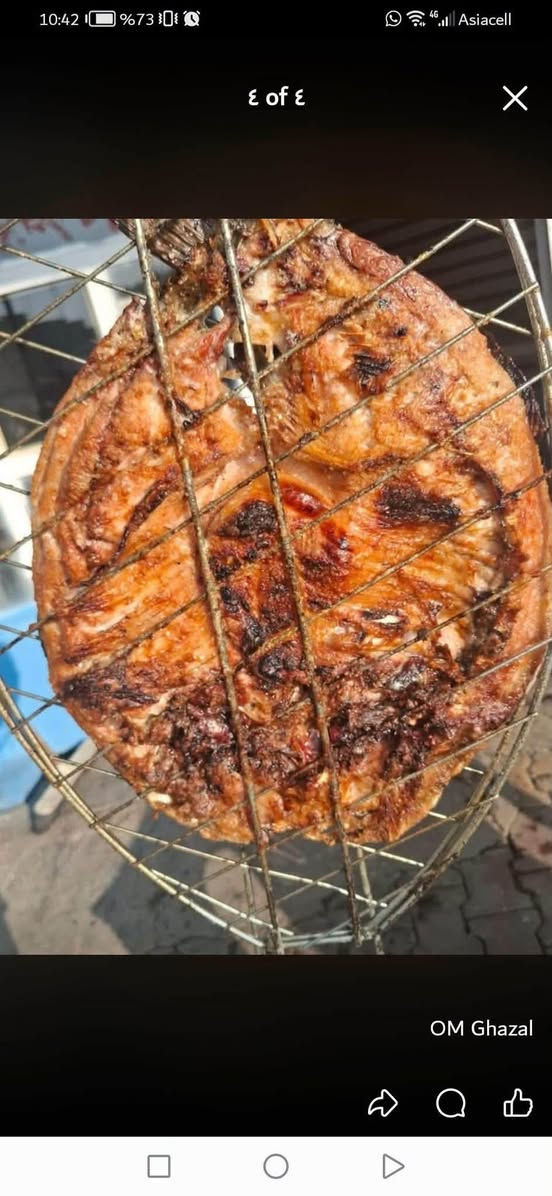 مطعم ومشويات البركه ❤️🌹
إنتَ اختار الطريقة واحنه نضبط النكهة:
 بالتنور🍢 لو شوي لو قلي 
والطعم مضمون بحطب الحمضيات والنكهة البغدادية الأصيلة

للحجز ***********

دجاج محلي عراقي ب ٣٧٥٠ متوفر مشوي ع الفحم وبالتنور 

سمك حي تازه يلبط كل اوزان متوفر ب ٥٧٥٠

متوفر توصيل
