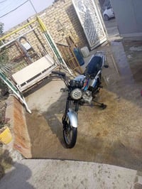 دايون • عظم • أوراق