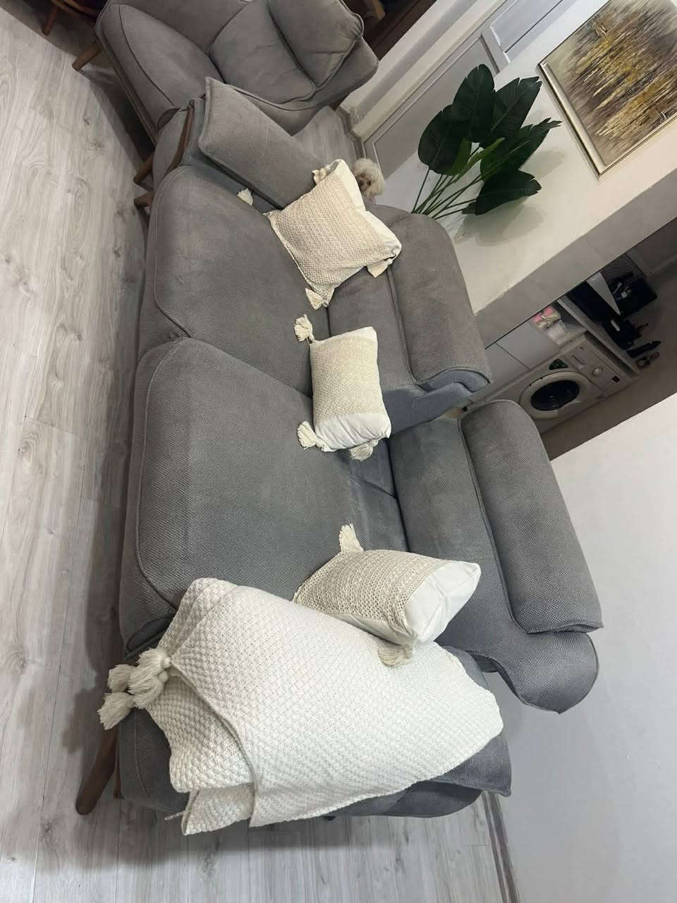 للبيع تخم تركي اصلي استخدام قليل ينفتح ويصير سرير هم


**إذا كنت صاحب هذا الإعلان وتريد حذفه لأي سبب، رجاءا أرسل رسالة إلى الدعم الفني**