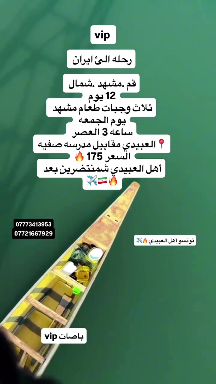 ‏***********

