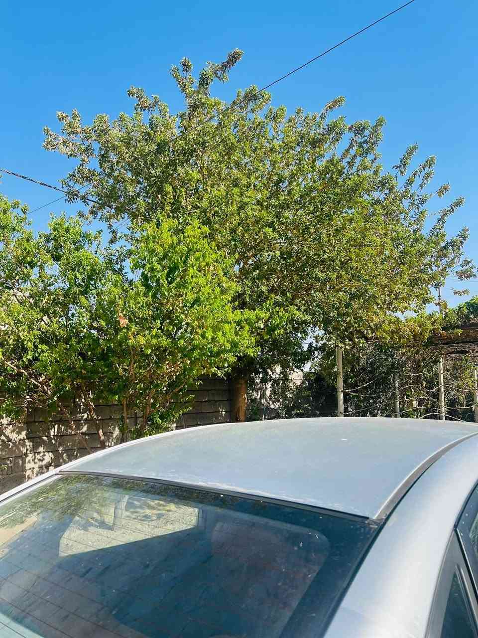 السلام عليكم افانتي اللبيع كير محرك كلو شرط سياره كصه جديده فوال موصفات عده الفتحه السعر 37وبيه مجال الشراي يتصل ***********
السياره موديل 10  السياره ادوات
