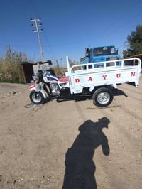 ستوته • ٢٠٢٤ • اوراق كاملة