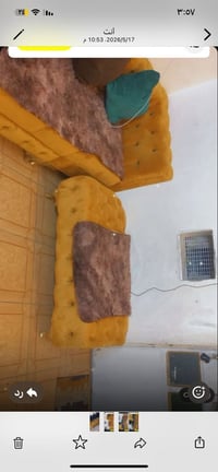 تخم ديوان • ٧ مقاعد