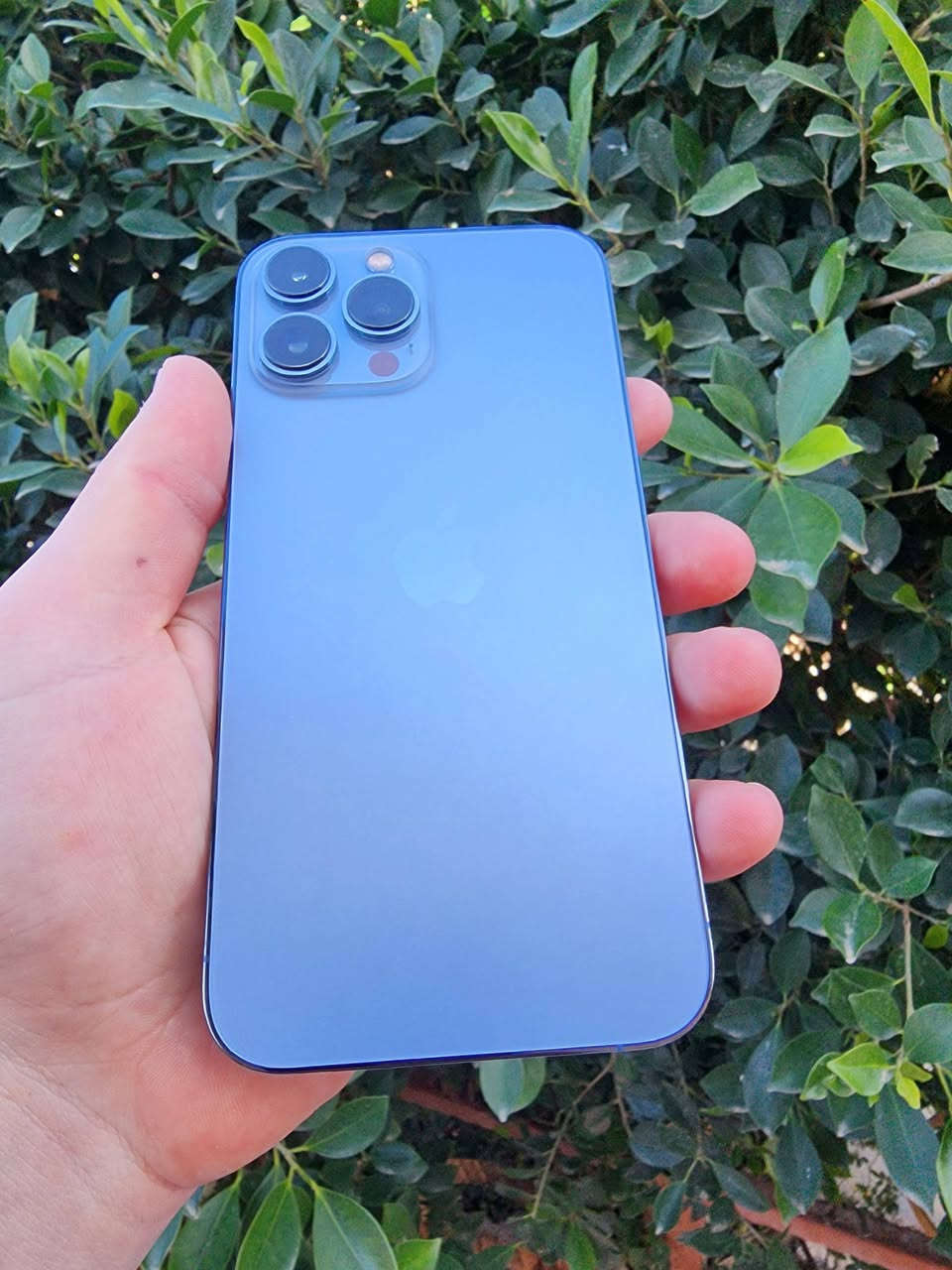 السلام عليكم…. مكلف بالنشر.. بيع نقد
أيفون 13 برو ماكس للبيع فقط    نظافه فول الفول
الجهاز شرط مامفتوح هوا وحاسبه   باتري شرط مامرفوع
الذاكرة/256.   باتري/85%   جهاز فول.  ضد المي
السعر/650 قفل قفل 
***********
