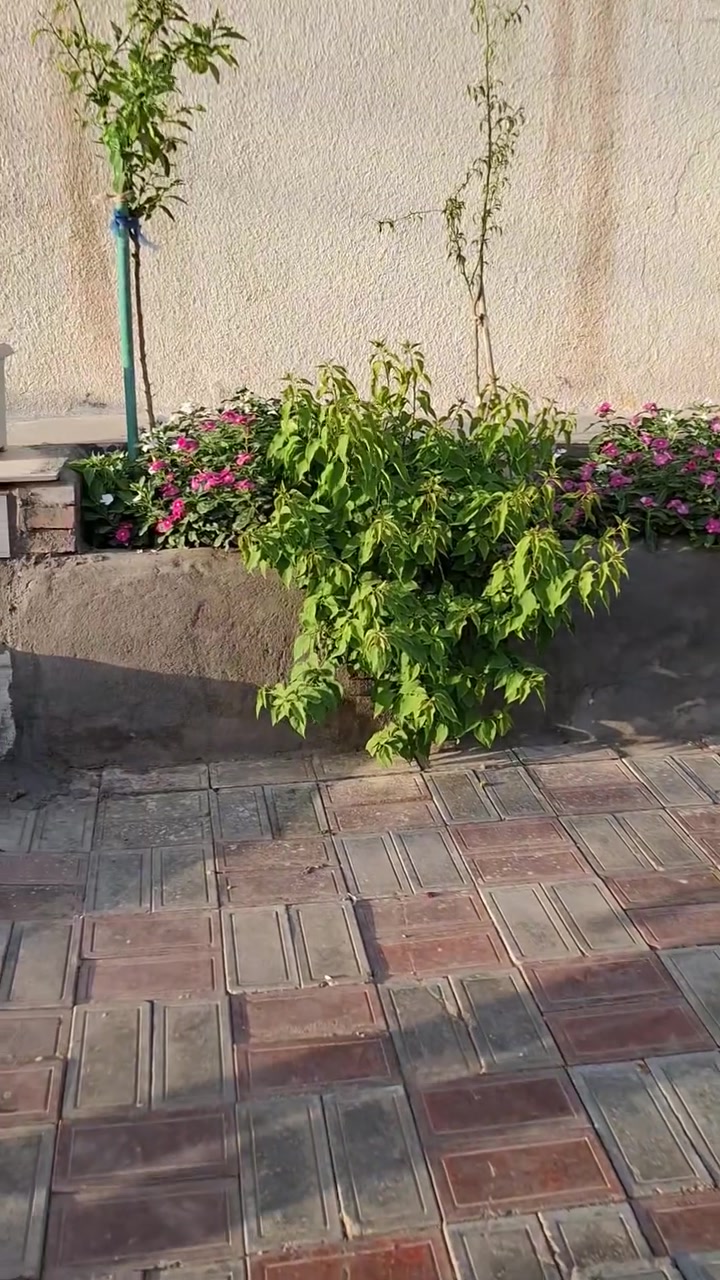 بيت للبيع حي السلام القضاة قرب مدارس العتبه ملك صرف تجاري المساحه ١٥٠ م٢ ***********
