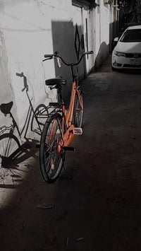 بيسكل • برتقالي • نجف الشرف