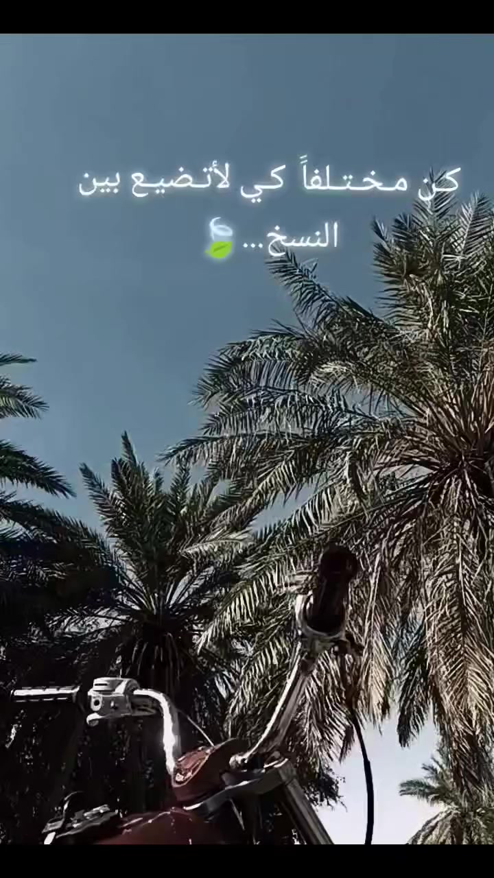 دراجه نضيفه مديل 22 دراجه شلعه ومعدل نضافه شوفت عينك باقي التفاصيل خاص ..  الشراي  راسلني وبيك خير وتدلل ..***********
