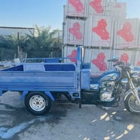 ستوته • كفاله عامه • أوراق اصولي