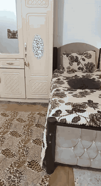 كربلاء العطيشي • كنتور • ميز ٣٥٠