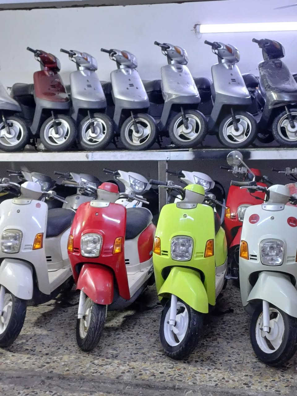 تحية طيبة.
بمناسبة حلول عيد الفطر المبارك 
يعلن معرض محمد عن عروض
ماكس بوليس ٩٥٠⛔️
ماكس بوليس مسطرة ١١٠٠⛔️
ماكس عدله مليون و١٠٠⛔️
بطة ٢٠٠٣ السعر ٨٥٠⛔️
بطة موديل ٩٩ السعر ٧٥٠⛔️
سكنس جبلي ١٣٥⛔️
فلة السعر ١١٠٠⛔️
بريز ١١٠٠⛔️
اكزز تريت السعر ١٨٠٠⛔️
منغولي سلة ١٢٠٠⛔️
ايضا يتوفر ادامة كاملة وتبديل دهن لحميع انواع دراجات وبأسعار تنافسية⛔️
العنوان كربلاء 
خدمي حي رمضان مقابيل مول الإبراهيمي 
معرض محمد ⛔️
***********
***********
