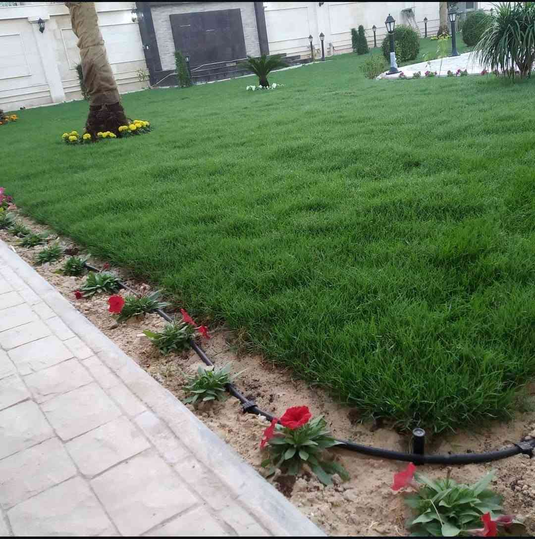 🌿 ثيل أسترالي طبيعي 🌿

نوفر ثيل أسترالي عالي الجودة، يتميز بلونه الأخضر الكثيف، ومناسب للحدائق المنزلية والفلل والشركات.

✅ ملائم لأجواء البصرة الحارة.
✅ يتحمل درجات الحرارة المرتفعة.
✅ يتحمل ملوحة المياه بدرجة جيدة.
✅ يمنح حديقتك مظهرًا أخضر طوال العام مع العناية والري المنتظم.

🚚 يتوفر توصيل إلى جميع مناطق البصرة.

💰 أسعار منافسة.

📞 للاستفسار أو طلب زيارة الموقع:
***********
***********

كما نوفر خدمات متكاملة تشمل:
✔ تسوية الأرض.
✔ تنفيذ منظومات الري.
✔ تصميم وتنفيذ الحدائق.

#ثيل_استرالي
#ثيل_طبيعي
#تنسيق_حدائق
#لاندسكيب
#حدائق
#زراعة
#البصرة
#العراق
#Basra
#Landscape
