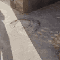 الرضويه السابعه • ١٣٠م • صب كونكريت