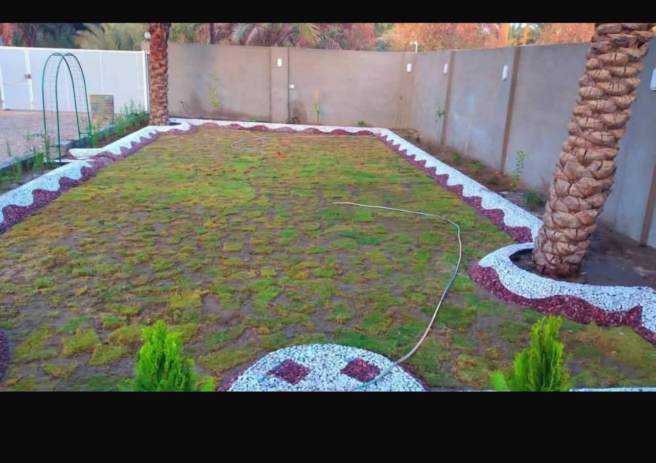 حسن لديكور ***********
عمل ديكورات درجه اولى نقشات شلال نافوره وبأسعار مناسبة
