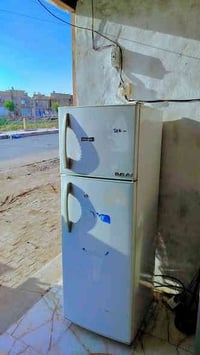 كونكورد لبناني • ١٦قدم • شغال-تجميد