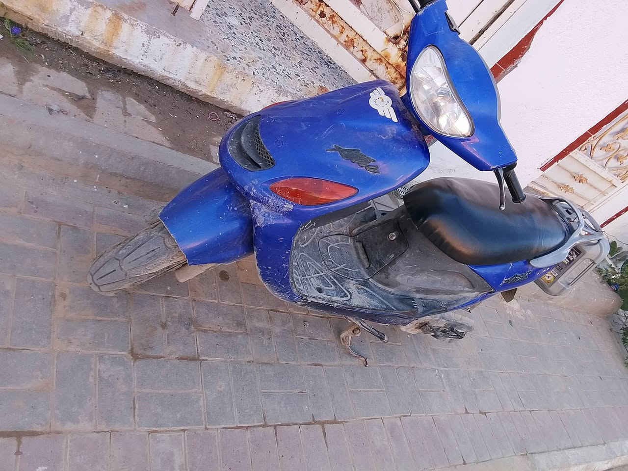 دراجة دولفين للبيع نكرة سلف ونضيفة ب700 الف وبيها مجال  مراسلة واتساب ***********
