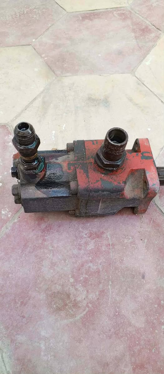 سلام عليكم خنزيره لبيع
***********
