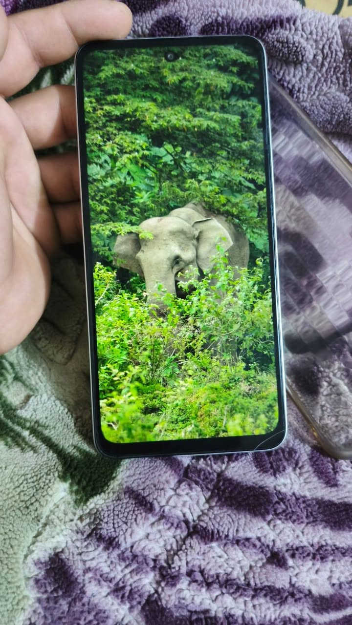 سلام عليكم جهاز ابو 5xذاكره 128ضد كسر وضد الماء جهاز توني اخذته غراضه ويا كامل ملحقات عنواني بغداد مدينه صدر سعر 170وبي مجال حك جيه وتساب ***********

